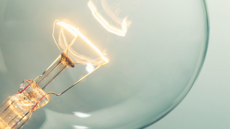 1st edition of the Sustainability and Energy Efficiency Conference