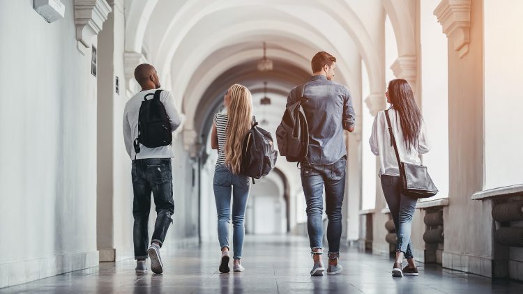 Pan European Seal Programme 2023/2024 | Call for Applications