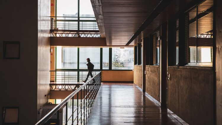 13 Técnico researchers win Universidade de Lisboa/ Caixa Geral de Depósitos Scientific Awards